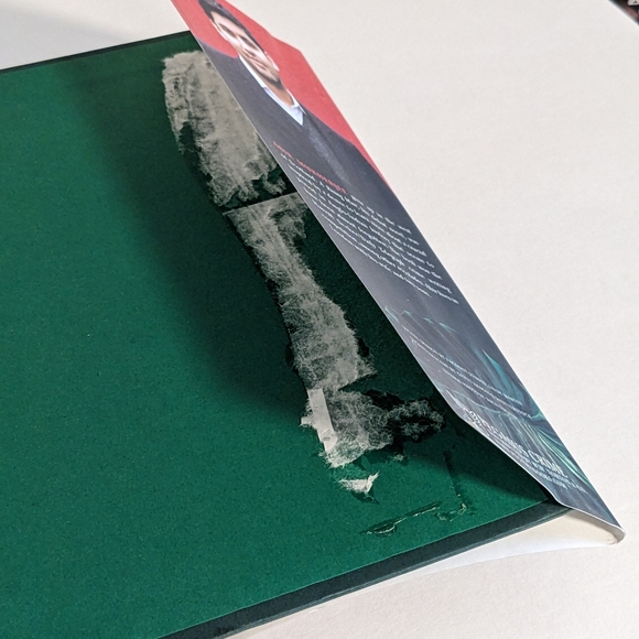 A Necessary Evil by Abir Mukherjee - Picture 6 of 6